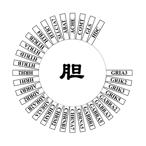 胆