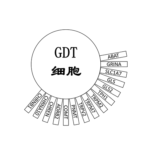 GDT细胞