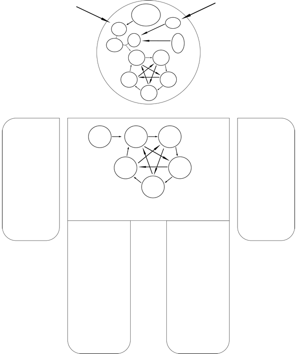 人体结构